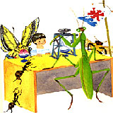 �I���W�i���G�{�@�E�B�b�V���O�u�b�N�@�J�u�g���V�iBeetle�j