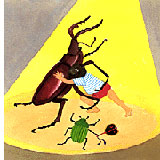 �I���W�i���G�{�@�E�B�b�V���O�u�b�N�@�J�u�g���V�iBeetle�j