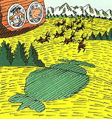 �I���W�i���G�{�@�E�B�b�V���O�u�b�N�@�a�����iBIRTHDAY�j