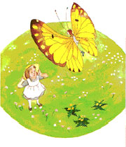 �I���W�i���G�{�@�E�B�b�V���O�u�b�N�@�d���iFAIRY�j