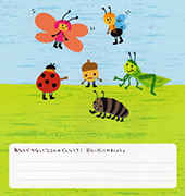 �I���W�i���G�{�@�E�B�b�V���O�u�b�N�@�䂫�����